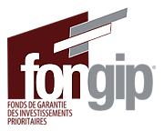 Logo of FONGIP